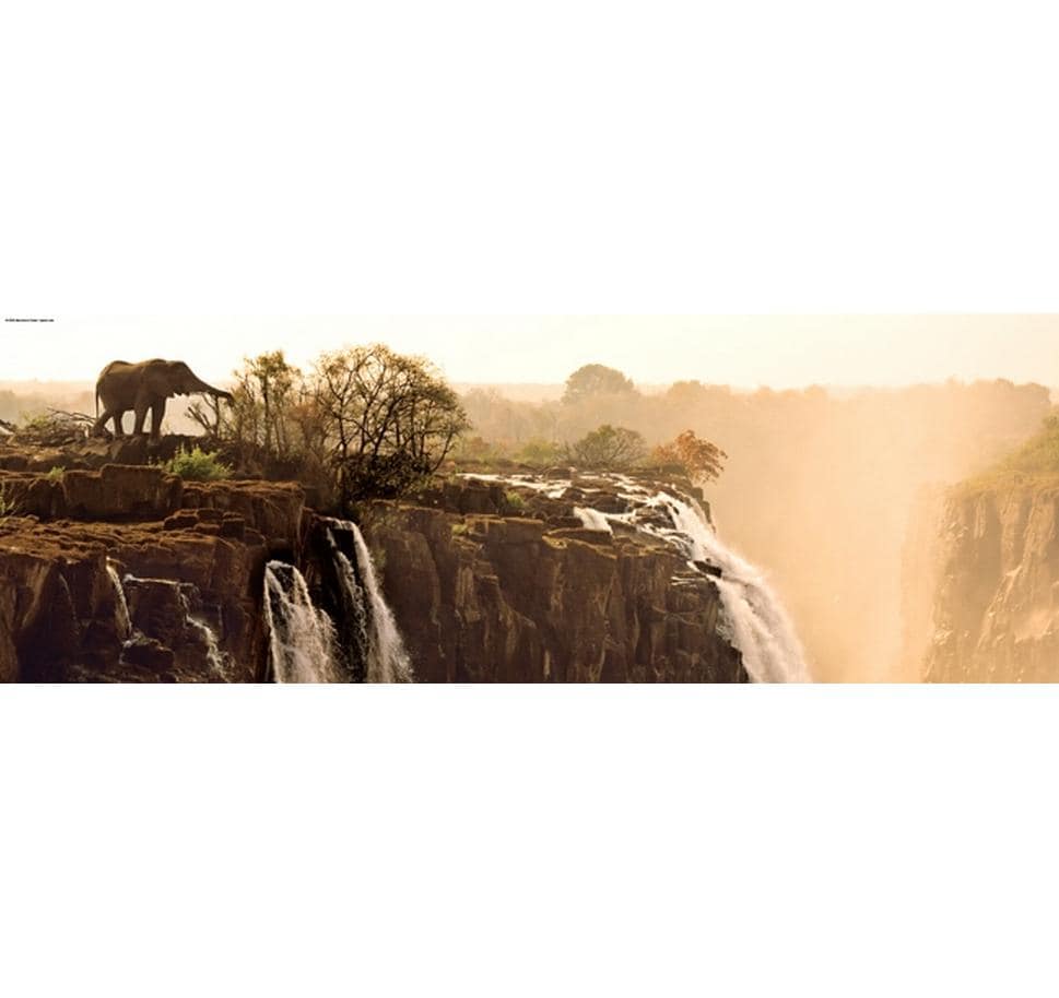 Puzzle Elephant PanoramaPuzzle mit 1000 Teilen