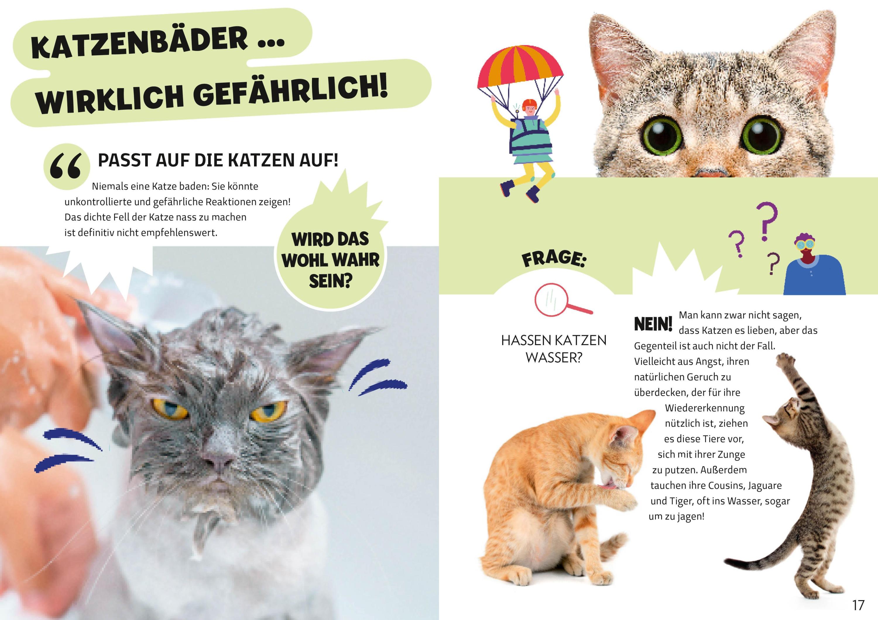 Die Mythenjäger. Keine Chance für Fake News und Lügenmärchen. Checke dein Wissen in unglaublichen Tests!