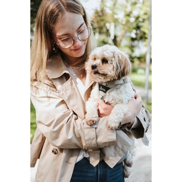 Hundesele Hunter DIVO UP Beige L