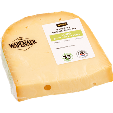 Wapenaer Goudse Kaas Jong 48+ Stuk ca. 434 g