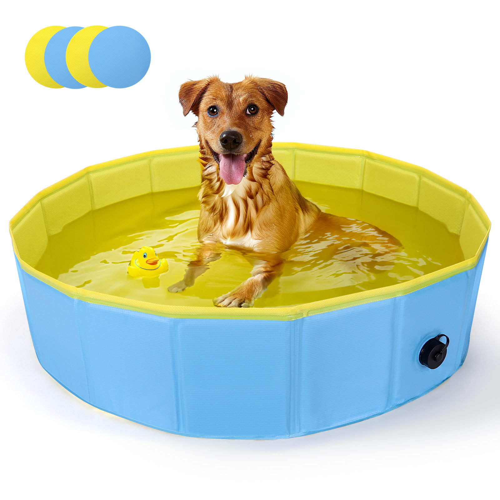 Piscina Nobleza para cães de grande e pequeno porte, banheira dobrável rígida antiderrapante para animais de estimação.