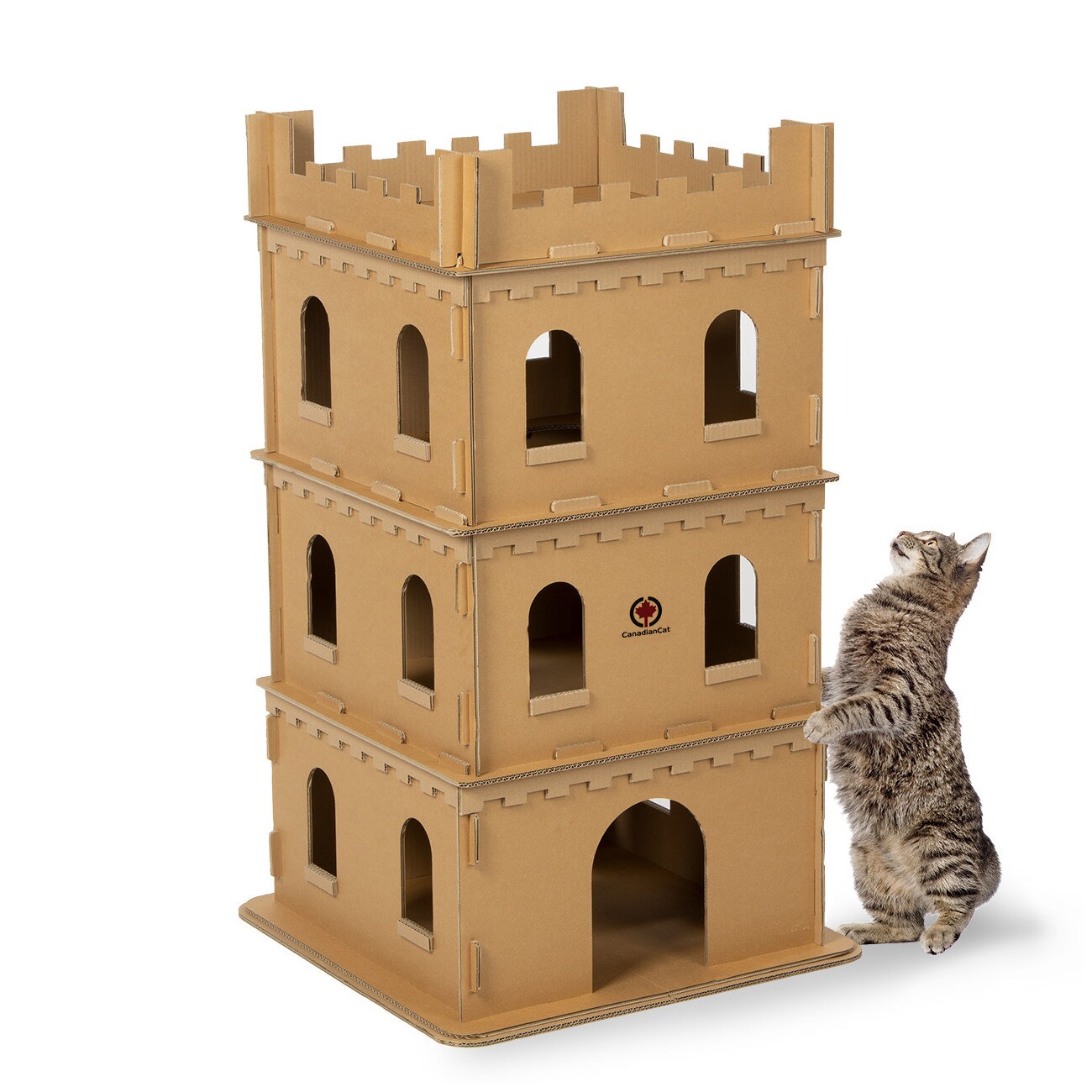 Canadian Cat Company Katzenburg XL aus Pappe