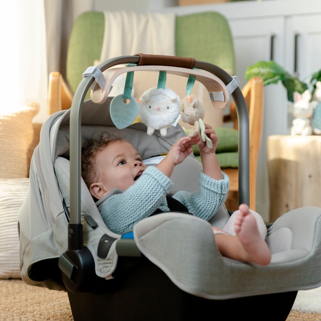 ingenuity Kinderwagenkette »Wonder & Wood Carrier Toybar« auch für die Babyschale geeignet