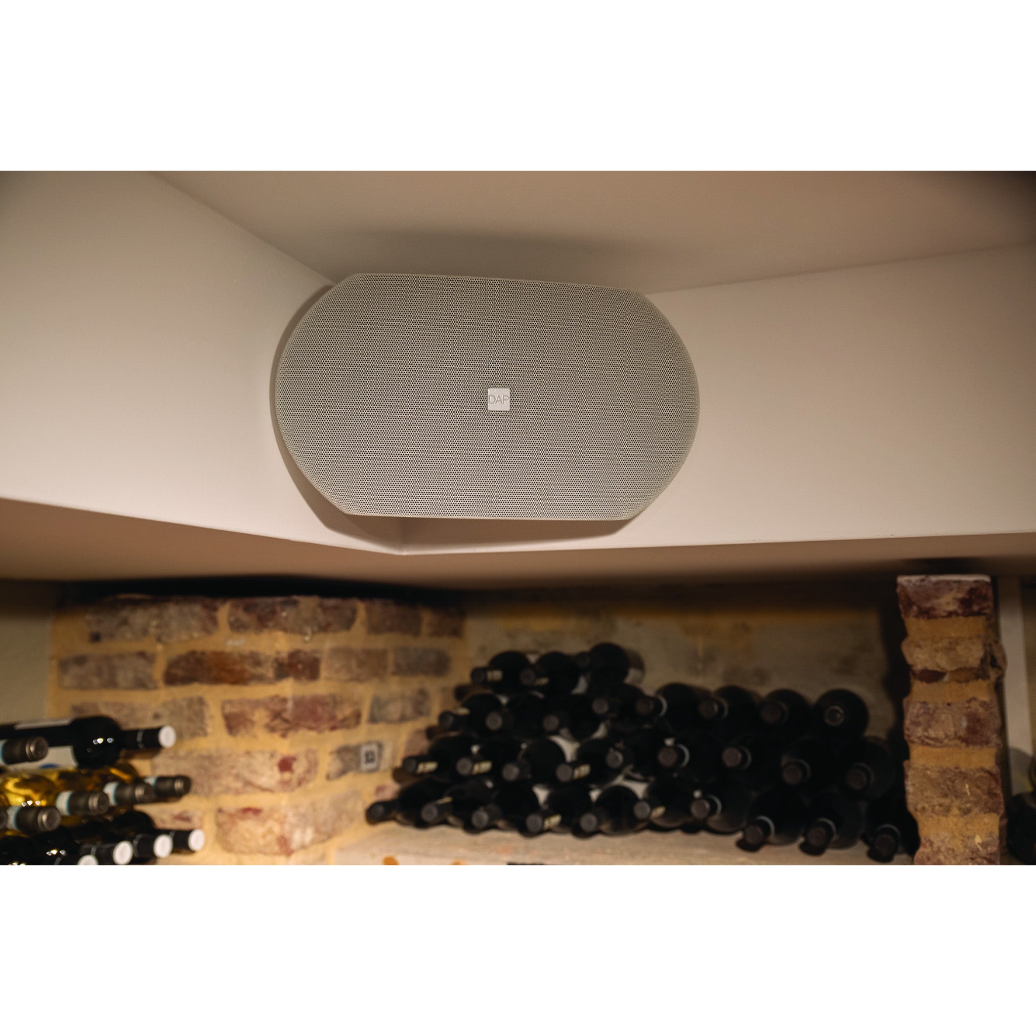 DAP WMS8-W passieve 8 inch muurspeaker, wit