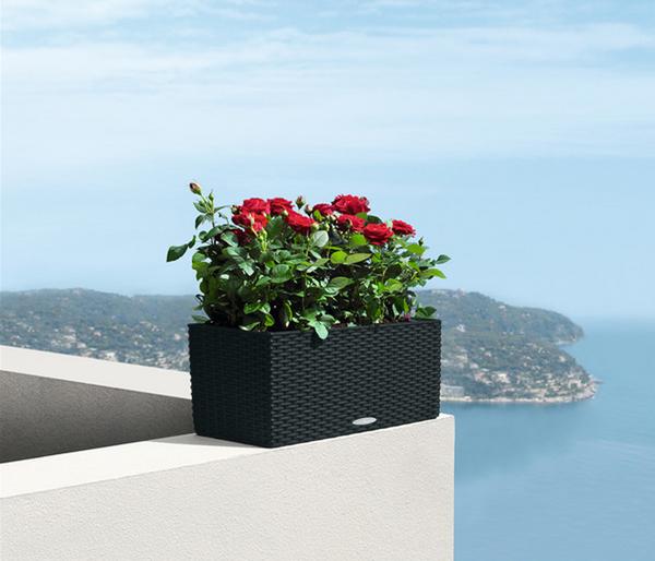 LECHUZA® Kunststoff-Kasten Balconera Cottage,
