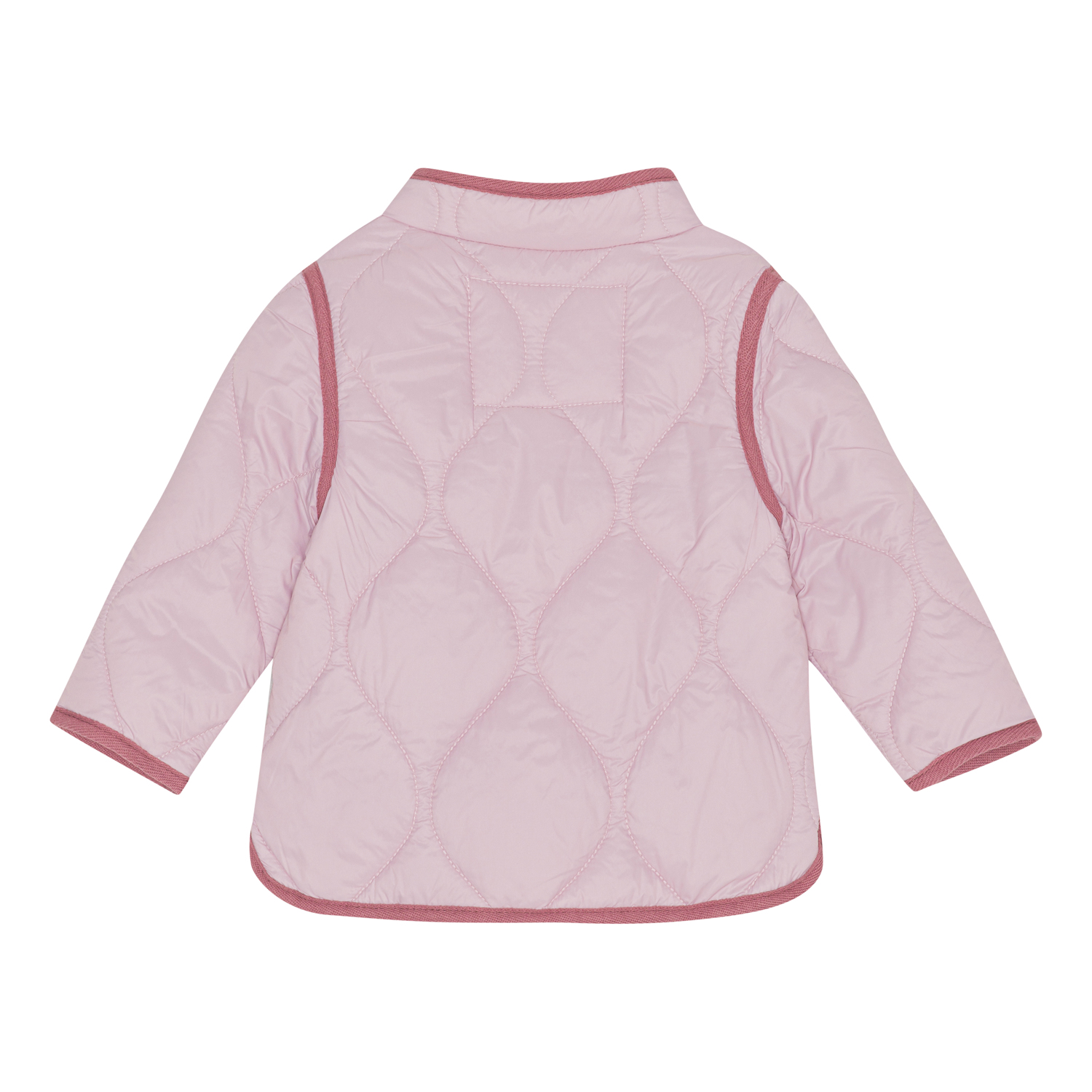 Harrie - Blue Pink