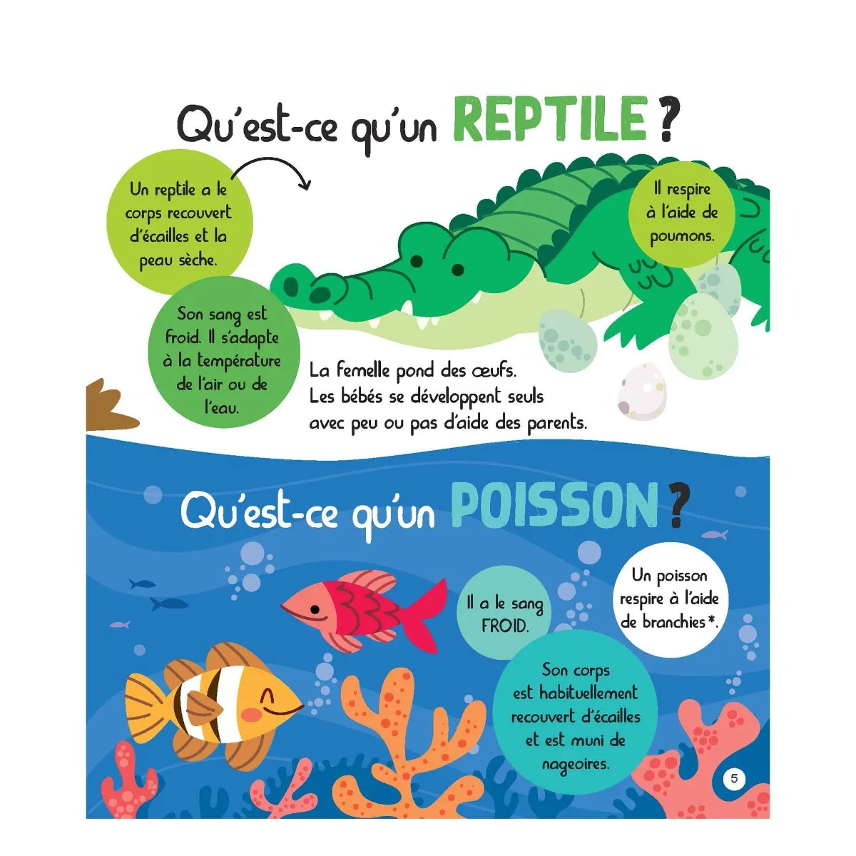 Prologue Mon Encyclopetit des Animaux