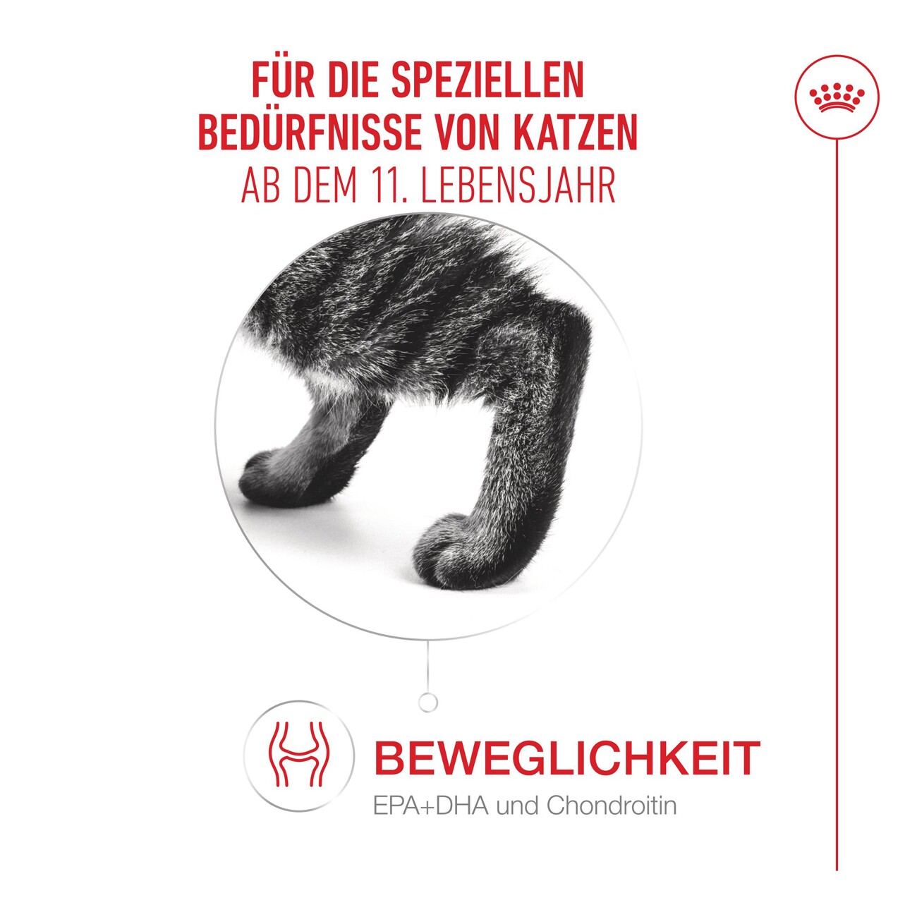 ROYAL CANIN Nassfutter Katze, Senior Ageing 11+, Gelee 12x85 g