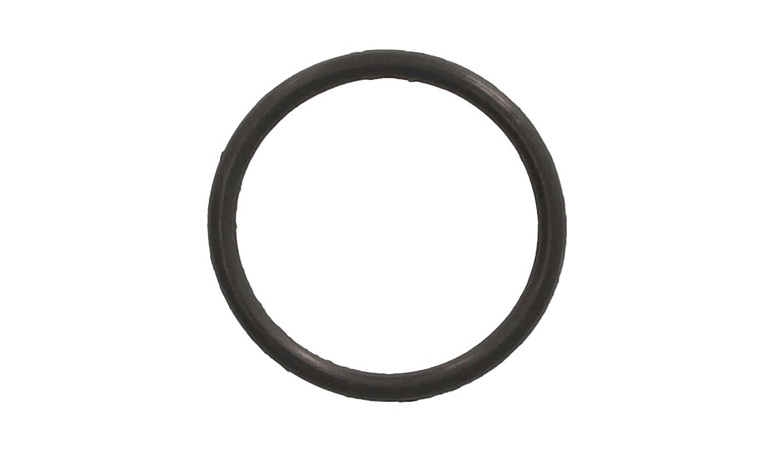 O-ring ved indsugningsstuds, TD125