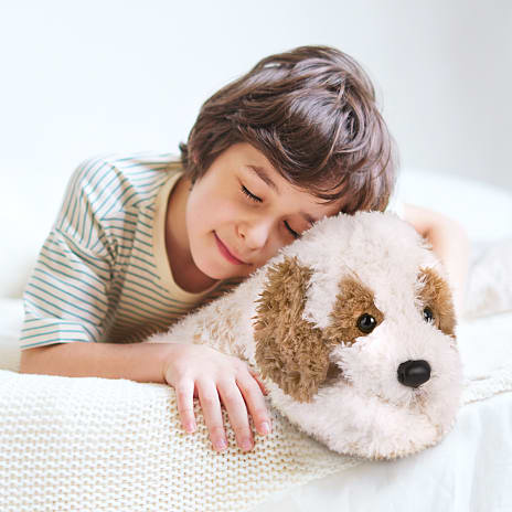 FAO Schwarz Cavachon bamse