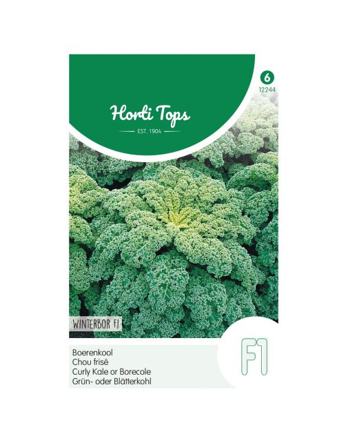Hortitops Boerenkool Reflex F1 (Wordt Winterbor F1) - Groentezaden - 50 stuks