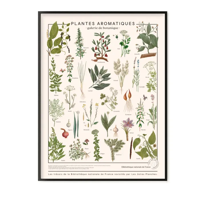 Les Jolies Planches Planche les trésors de la Bibliothèque Nationale Herbes aromatiques 60x80 cm