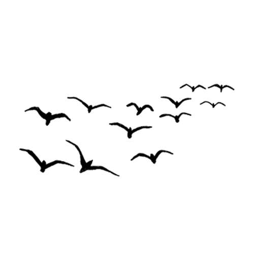 Lavinia Stempel, Birds