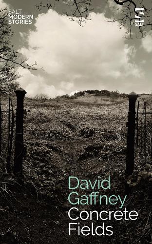 Concrete Fields - Salt Modern Stories (Paperback)