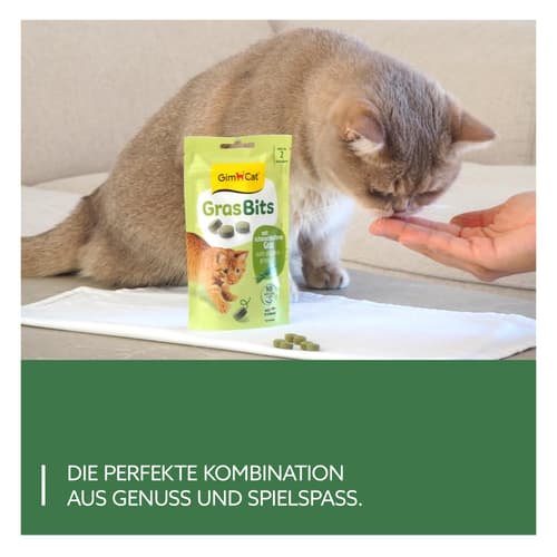 GimCat GrasBits 40 g
