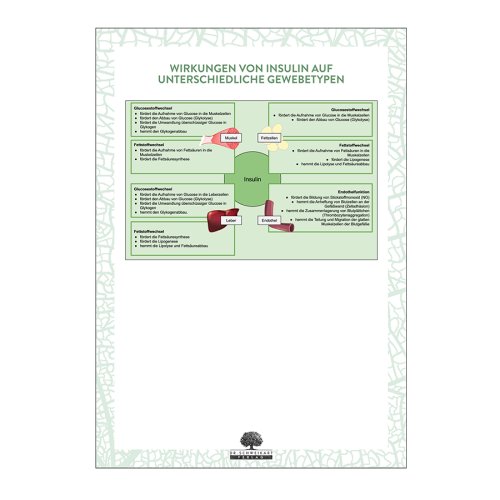 Sunday Natural Products  Hoher Blutzucker, Diabetes und metabolisches Syndrom
