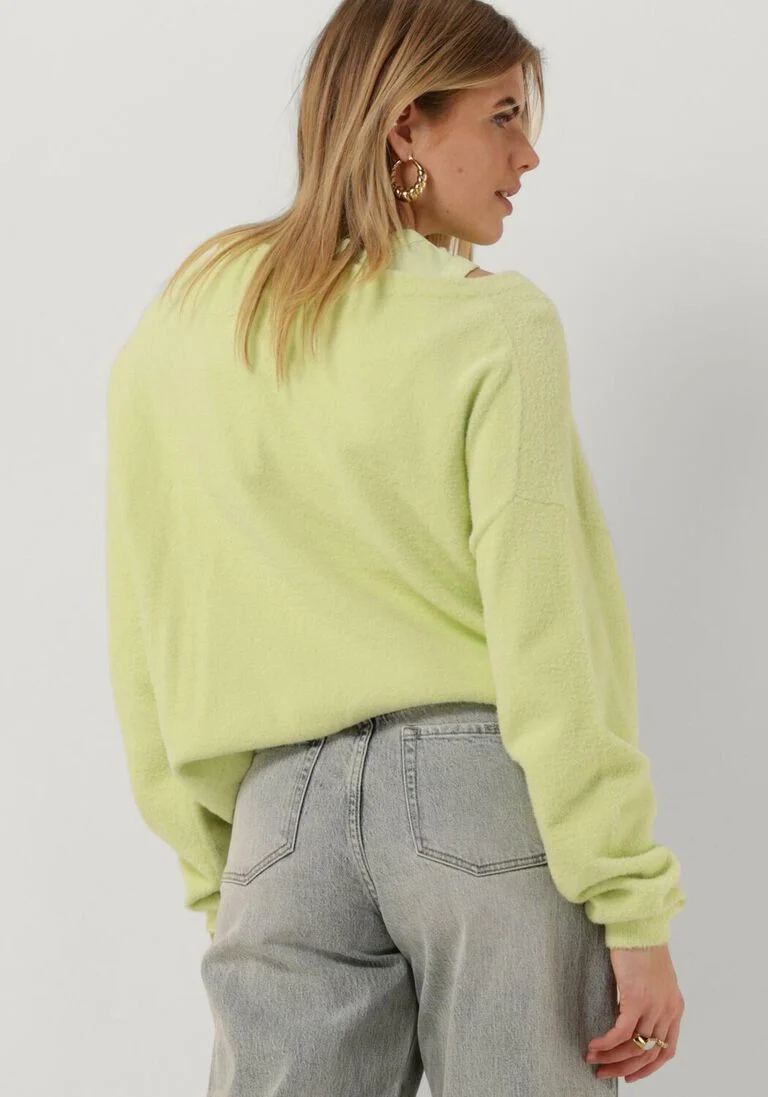 CATWALK JUNKIE mint catwalk junkie trui kn soft