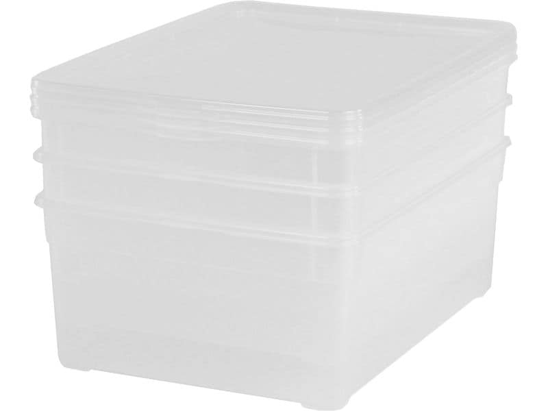 Rotho Aufbewahrungsbox Men Shoe Transparent, 3 tlg. Clear Box-Set