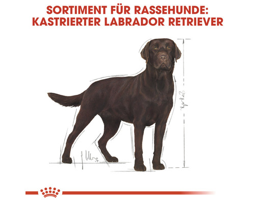 Royal Canin Labrador Sterilised droogvoer voor honden 12 kg