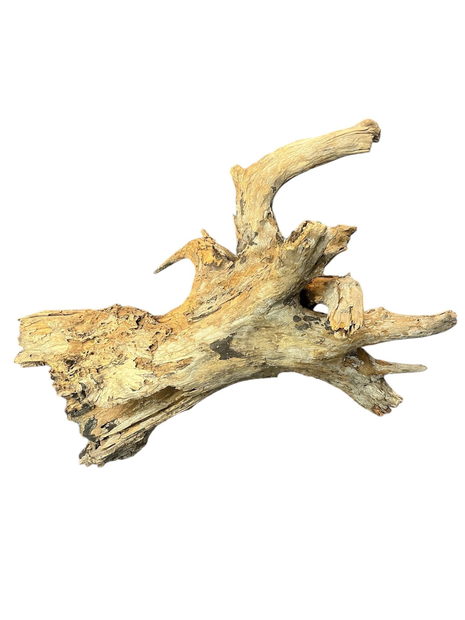 AquastoreXL Corbo Root XL NR05 8,6kg