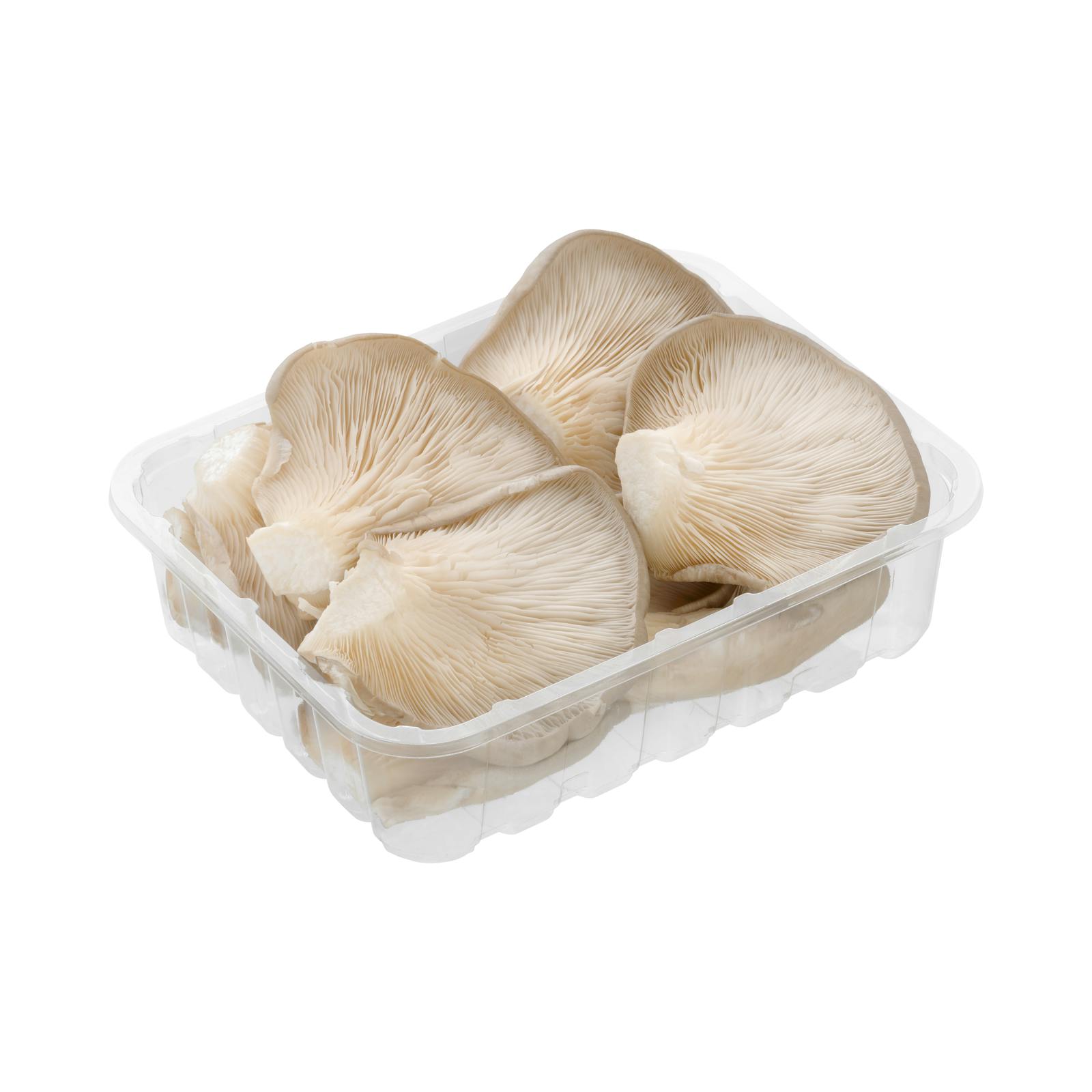 Champignons