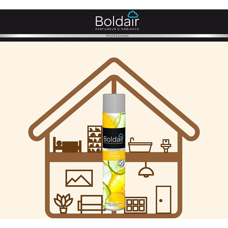 Désodorisant classique Boldair zeste citronné - Aérosol 500 ml