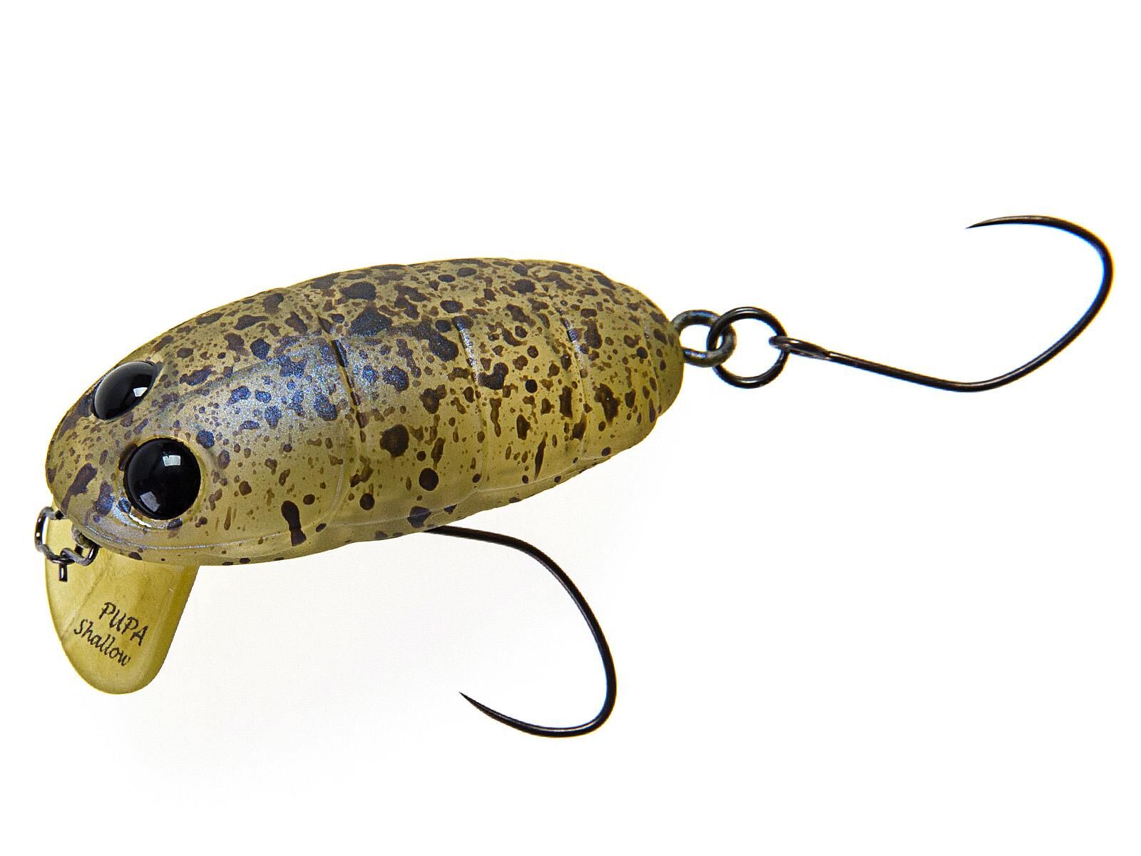 Crankin Pupa Shallow (Nories)