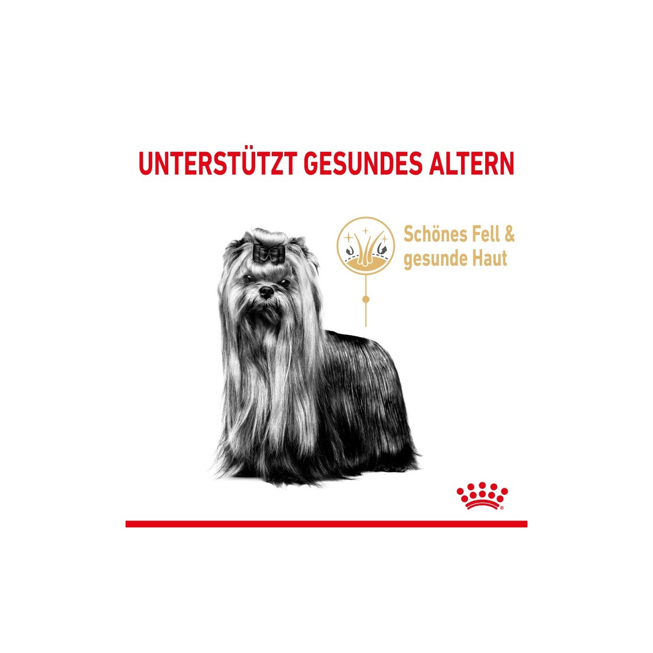 ROYAL CANIN Yorkshire Terrier 8+ für ältere Hunde 1,5 kg