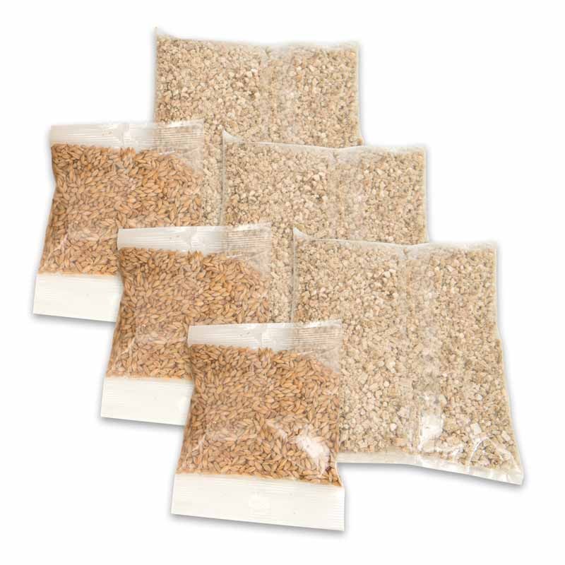 Kit de Grama Artificial para Gatos Catit Senses 2.0, 3 unidades - Ref. 43162W