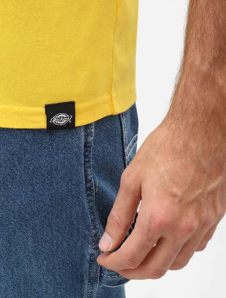 Dickies Horseshoe T-Shirt | SkatePro