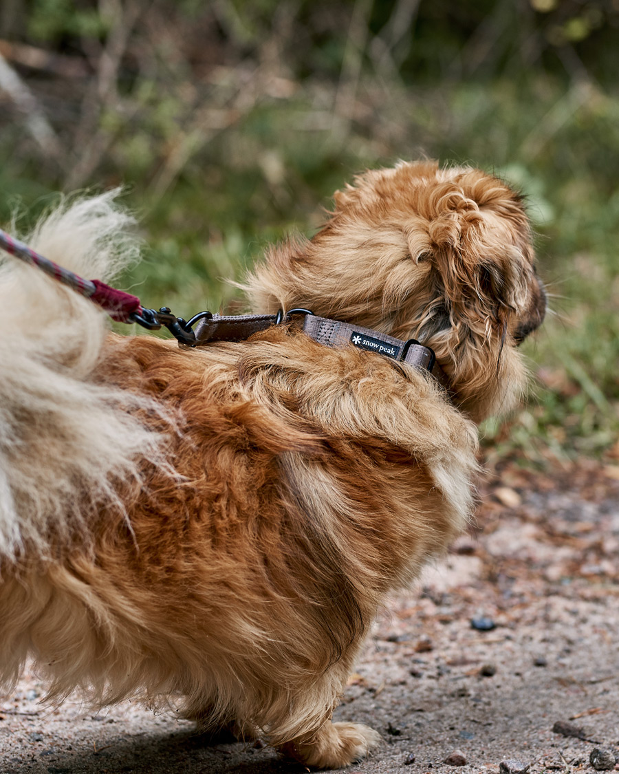 Snow Peak Dog Slip Collar Grey