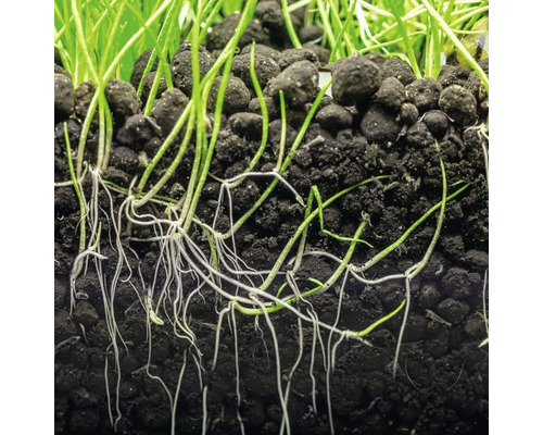 Aquariumbodem DENNERLE PLANTS Soil 2 - 3 mm, ca. 9 kg zwart
