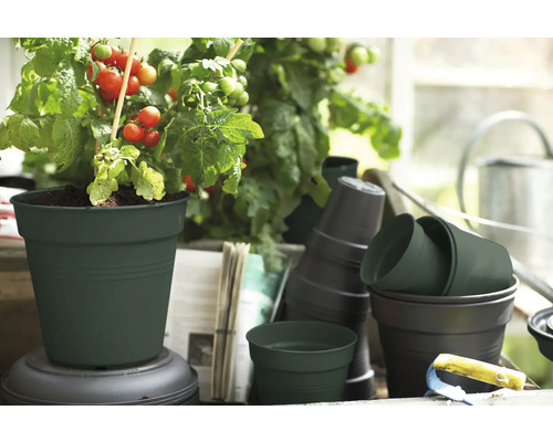 elho Green Basics plantenpot, kunststof, Ø 11 cm, H 10 cm, groen