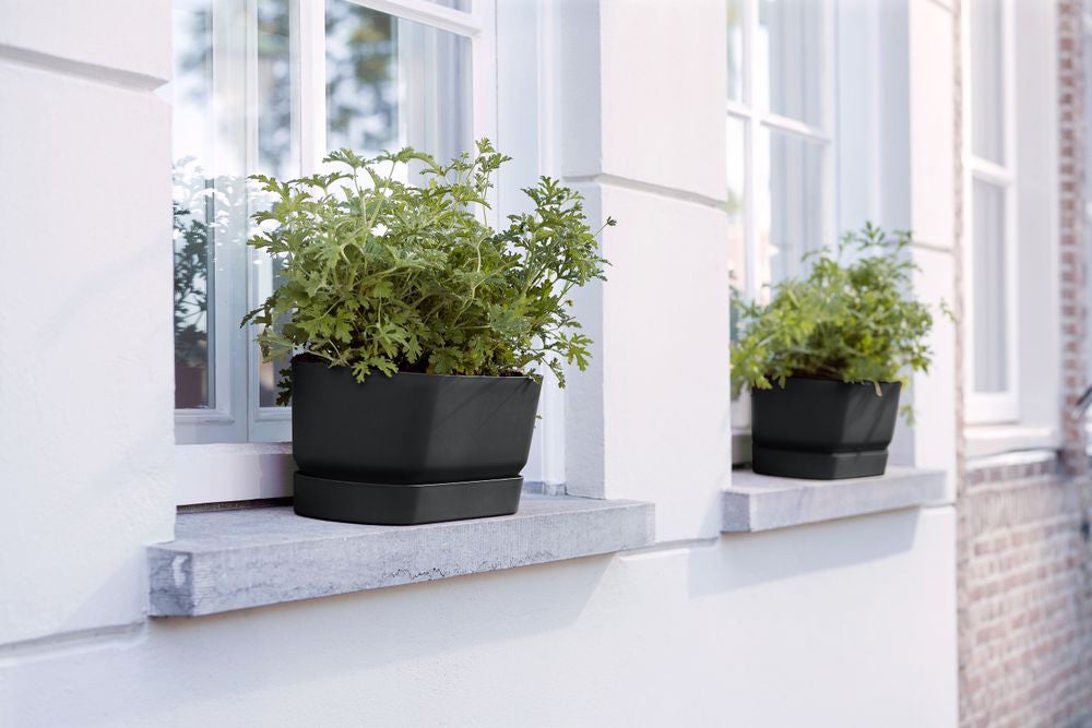 Elho plantenbak Greenville zwart 49 x 19,8 x 17,9 cm