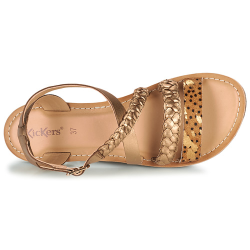 Kickers - DIAPPO - Camel