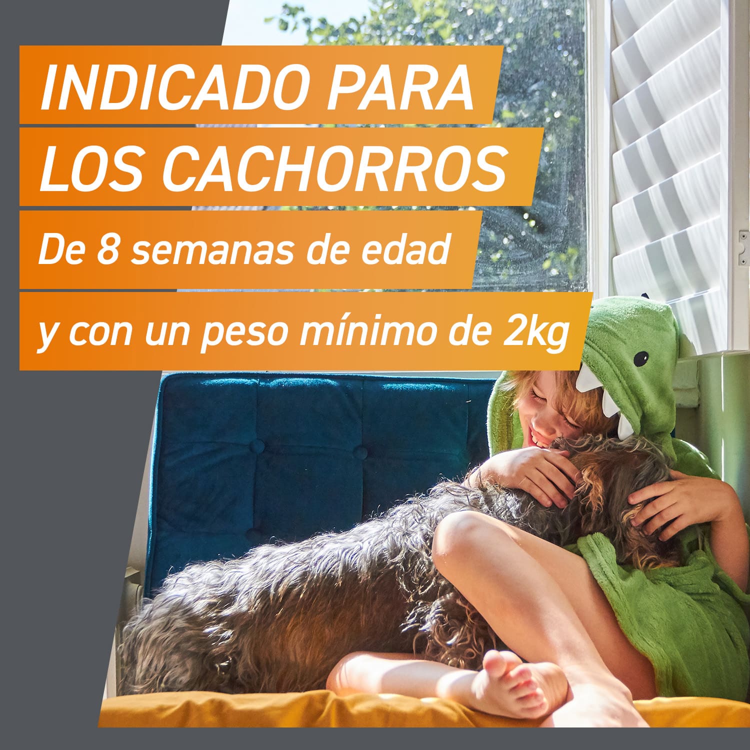 Comprimidos antiparasitários mastigáveis Frontpro para cães