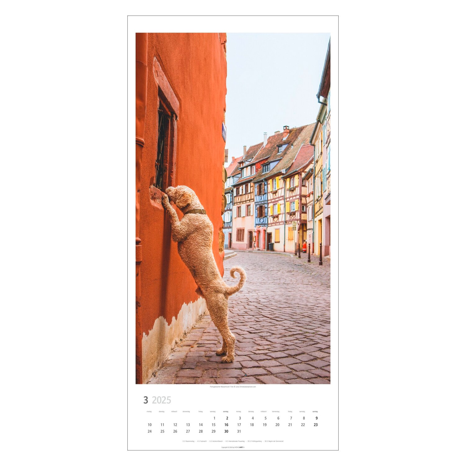 Kalender 2025 SITZ! PLATZ! BLEIB!  - 2025