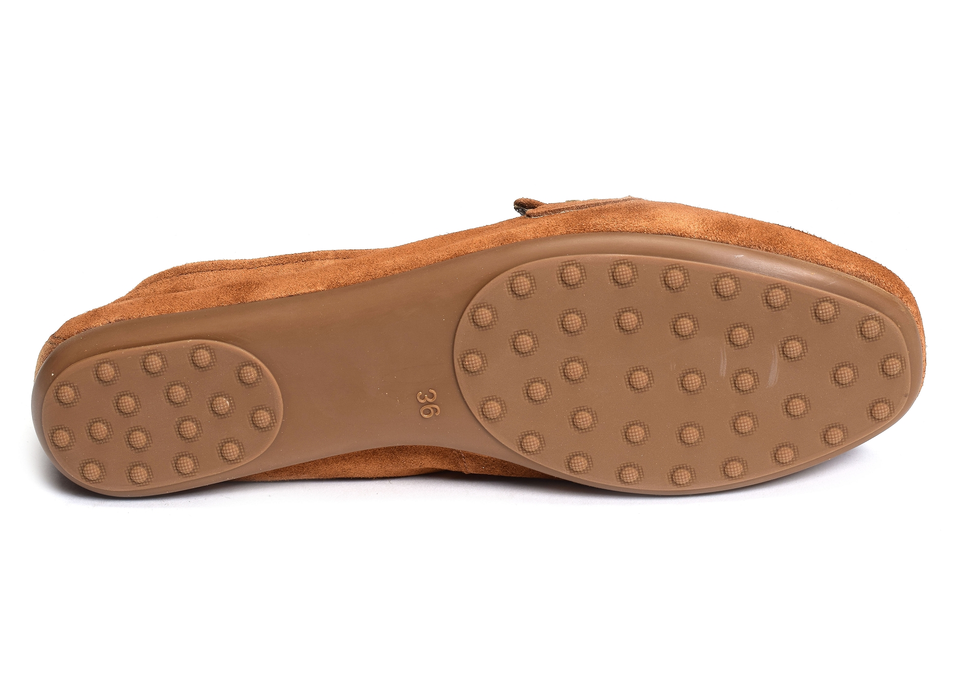Hiton camel