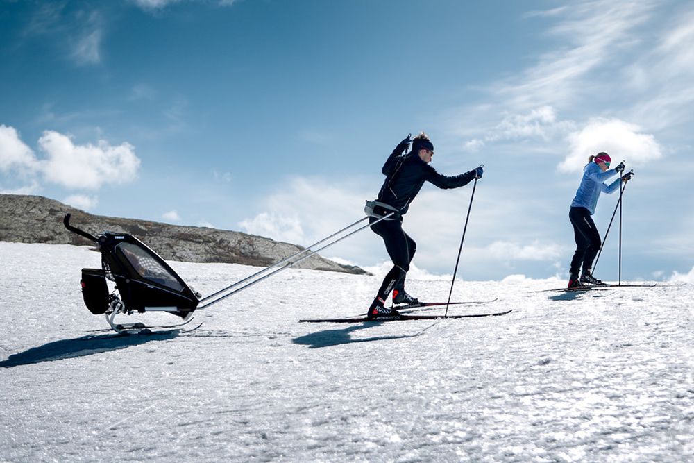Thule Chariot Sport 1 kaufen | Bike-Discount