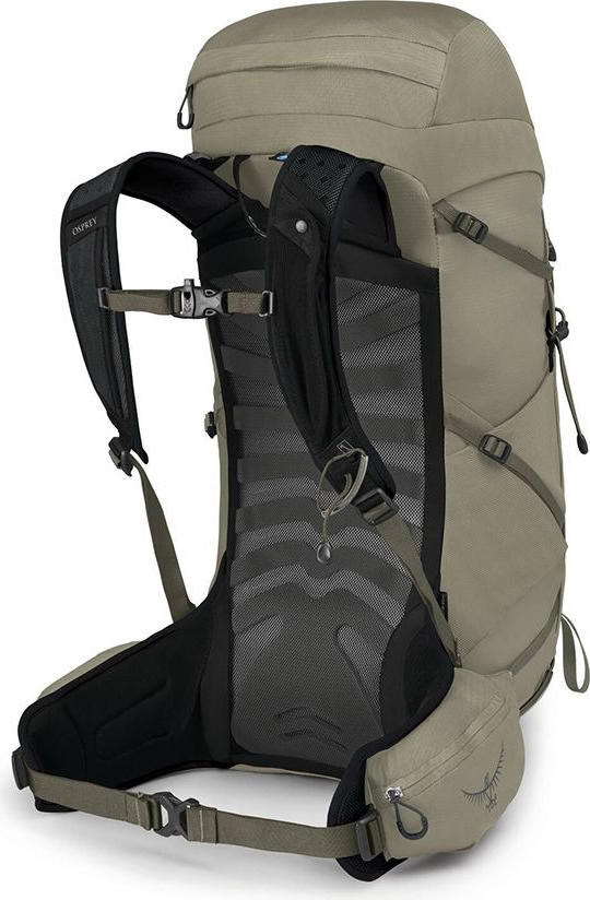 Talon 33 Sawdust/Earl Grey
