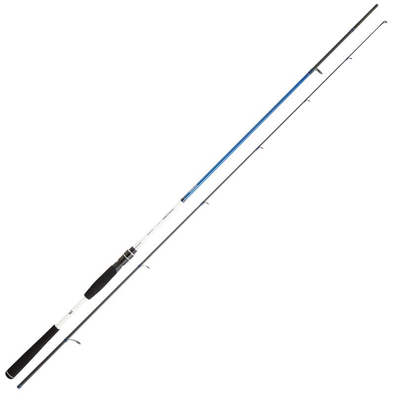 Canne Spinning Daiwa Spitfire Seabass
