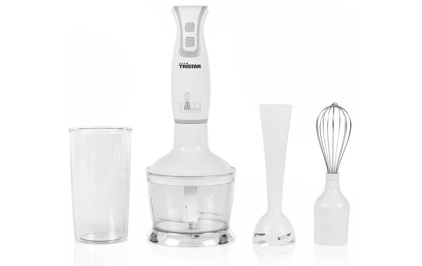Stabmixer Set 250 W, WeissKüchengerät Set mit Zubehör