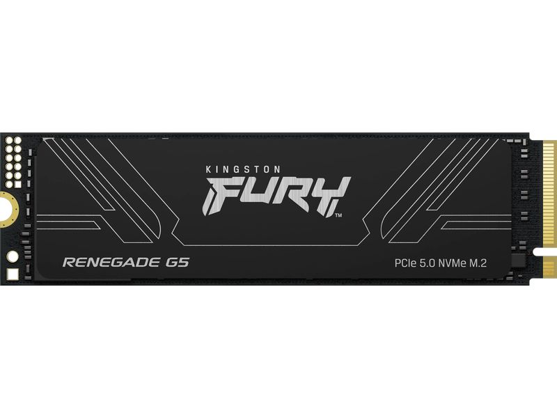 Kingston SSD FURY Renegade M.2 2280, NVMe M.2 NVMe 4096 GB Interne Gaming Solid-State-Drive mit Heatsink und 4096 GB
