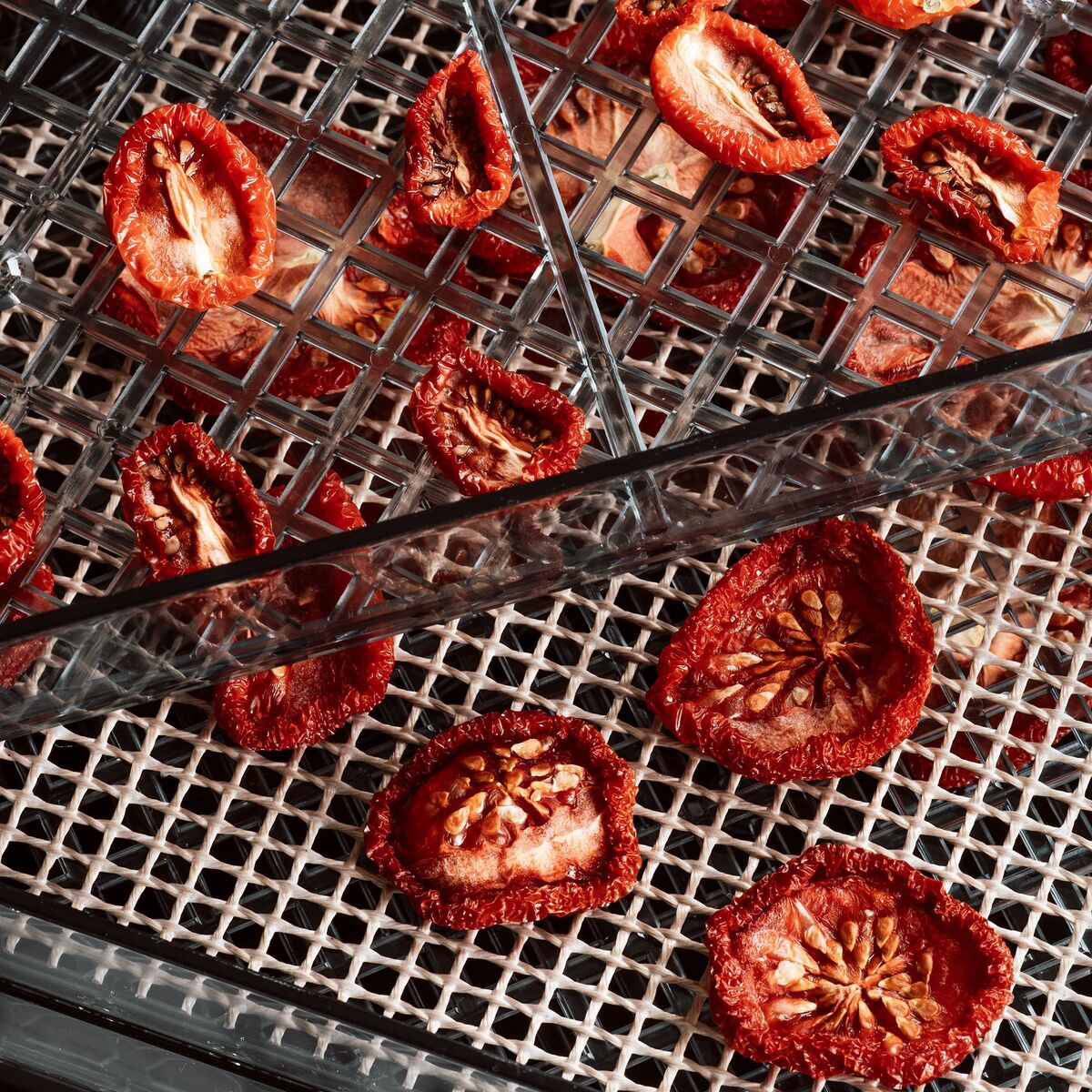 Dehydrator tørkeovn 5 lag