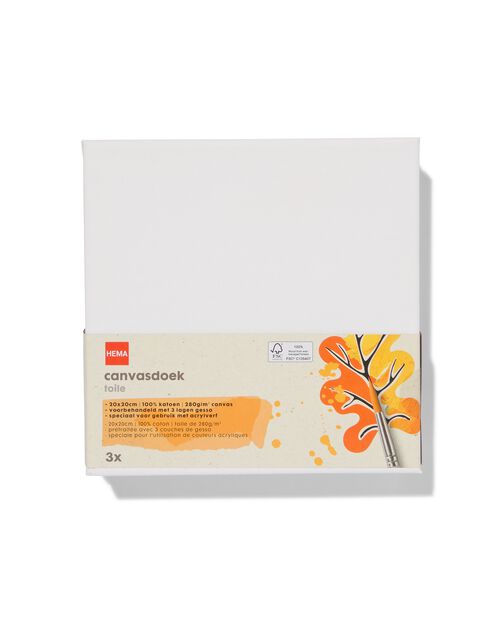 3 toiles de peinture 280 g/m2 20x20