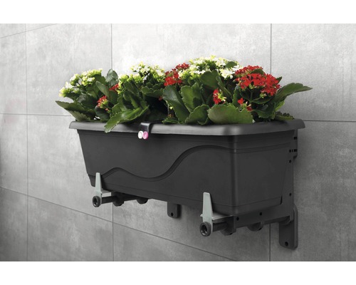 Lafiora Verso Wandbloembakhouders, 1 paar