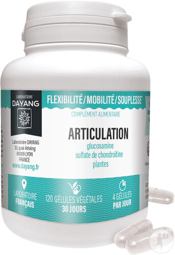 Dayang Articulation 120 Gélules