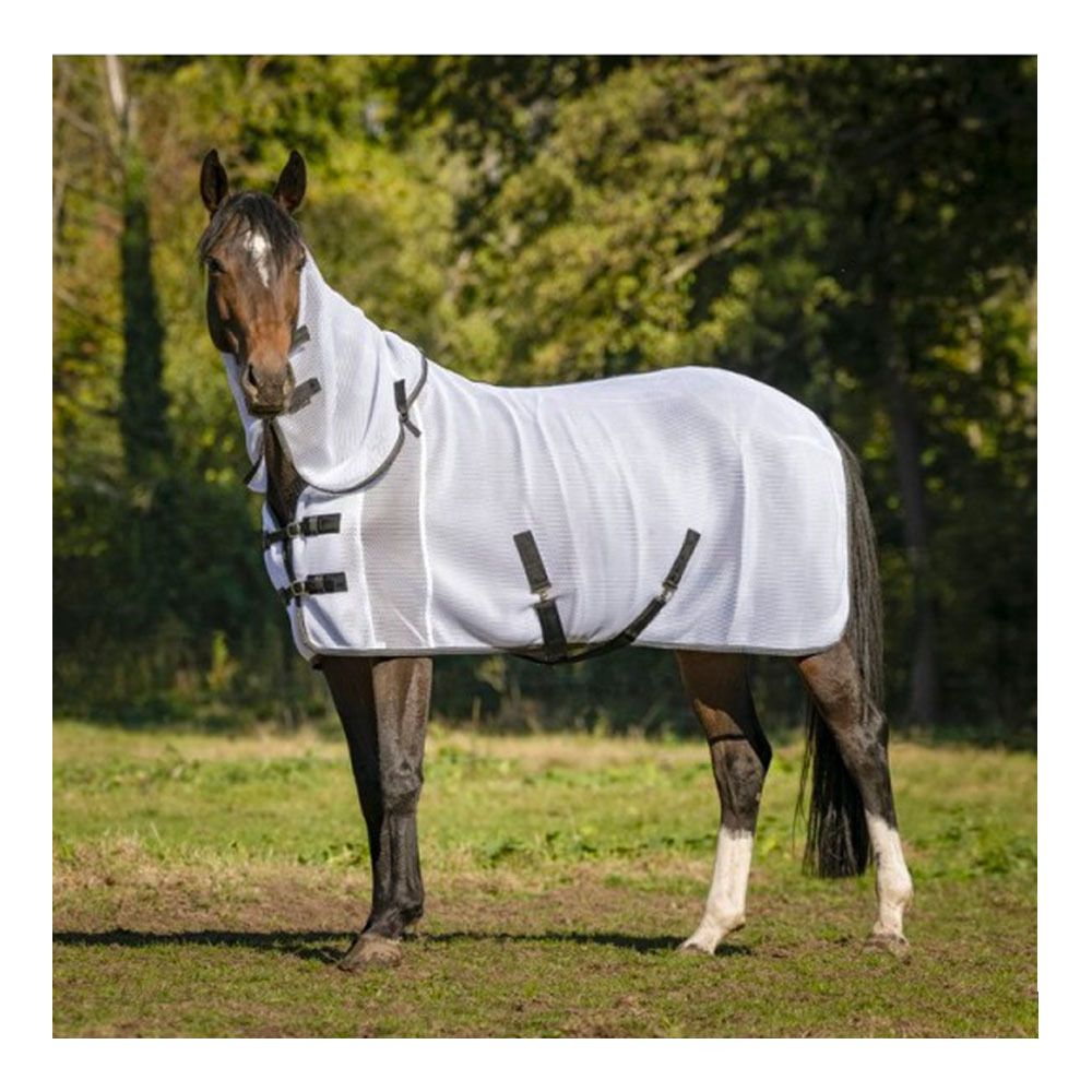 Equitheme 3D MESH - Chemise anti-insectes blanc