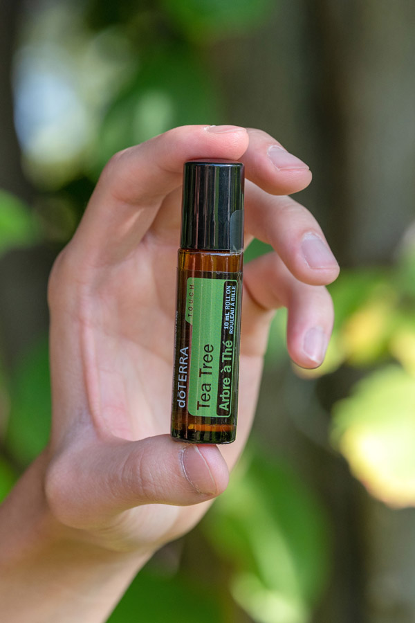 Huile dōTERRA Touch® arbre à thé  Melaleuca alternifolia