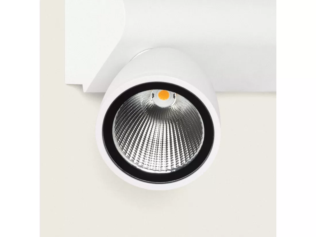 Applique Murale Extérieure LED 12W Aluminio Abel Large 2 Spots Blanc